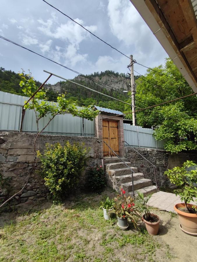Ati Mta - Eco Hostel Боржоми Екстериор снимка